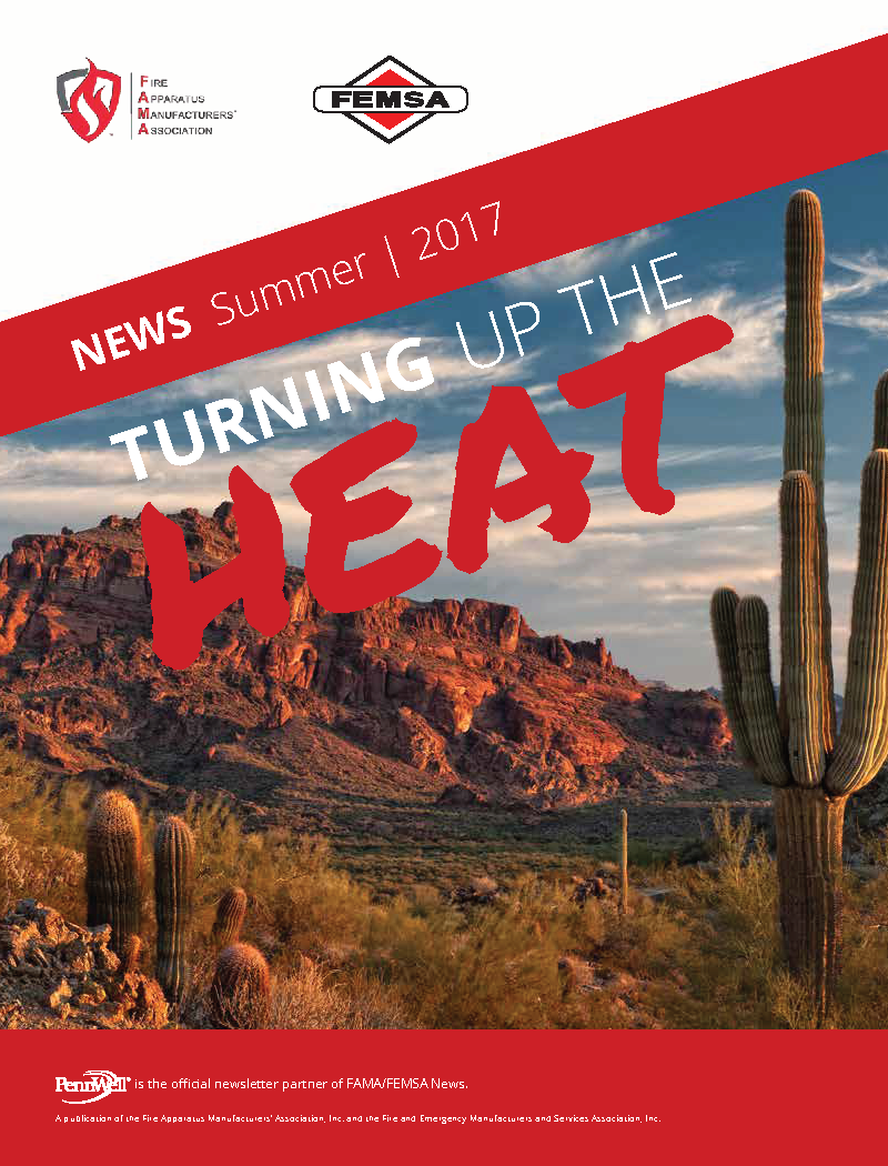 Summer 2017 - FEMSA